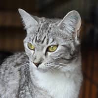 Photo of Talia