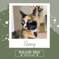 Photo of Penny
