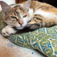 Photo of Kiki