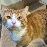 Photo of Pip