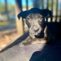 Photo of Ellie