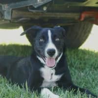Photo of Freya