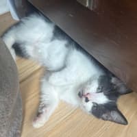 Photo of Katara