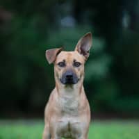 Photo of Bruno