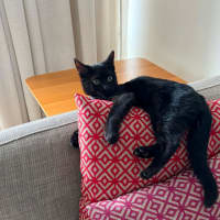 Photo of Jasper