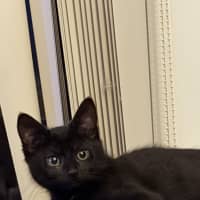 Photo of Mila