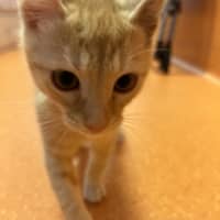 Photo of Billy