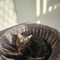 Photo of Mia