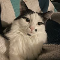 Photo of Cindy