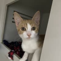 Photo of Angel