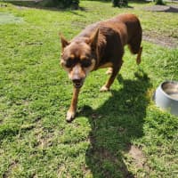 Photo of Danny (67337)