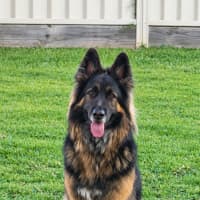 Photo of Kai