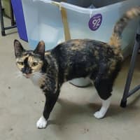 Photo of Neve Now Stevie