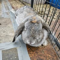 Photo of Hera