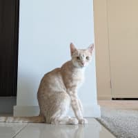 Photo of Ivy