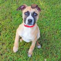 Photo of Fonzie