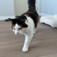Photo of Evie