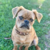 Photo of Walter 