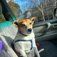 Photo of Max 