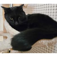 Photo of 10753   Biggie