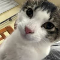 Photo of Coco