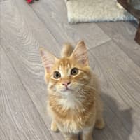 Photo of Leonardo 