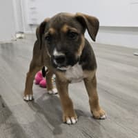 Photo of Marceline The Vampire Queen