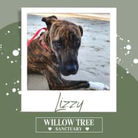 Photo of Lizzy