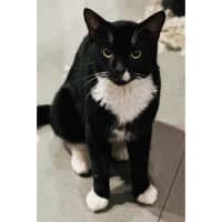 Photo of 12355   Snoop