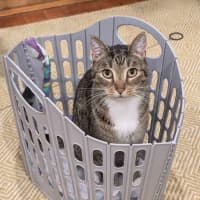 Photo of Monty