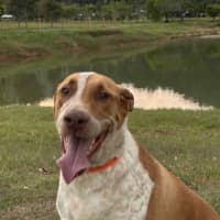 Photo of Duke