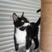 Photo of Daisy
