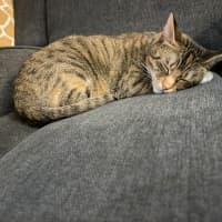 Photo of Bell