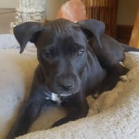 Photo of Passionfruit Bliss