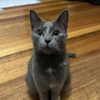 Photo of Hera