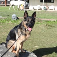 Photo of Bessy