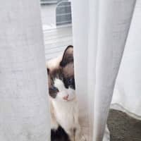 Photo of Aura