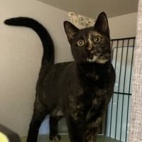 Photo of Coco