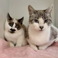 Photo of Zilder & Frankie