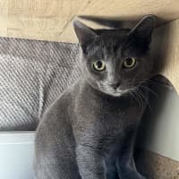Photo of Smokey
