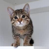 Photo of Michelle