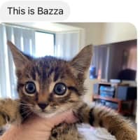 Photo of Bazza