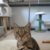 Photo of Sarah