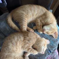 Photo of Fred & George (Aka Quentin & Quigley)