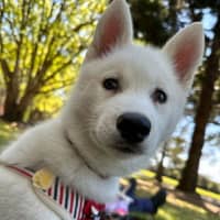 Photo of Maya