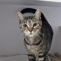 Photo of Waldo
