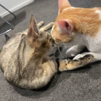 Photo of Atun And Arenita 