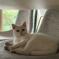 Photo of Yuki