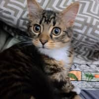Photo of Missy