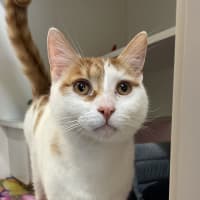 Photo of Fred